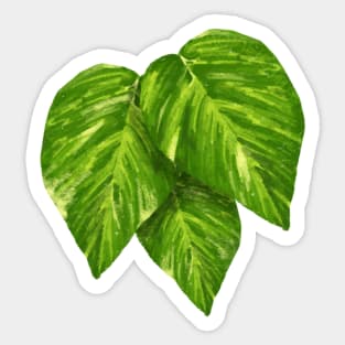 Pothos Golden Leaf Sticker